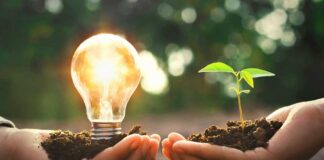 IFC clean energy