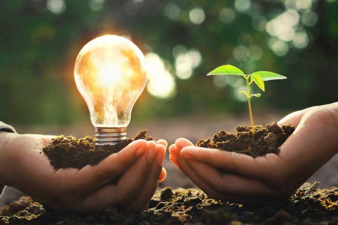 IFC seals clean energy deal IFC clean energy