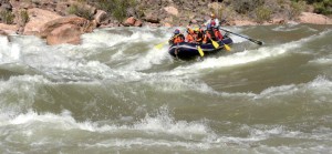Thrills and spills: Ravi Bishnoi battles the water in the Grand Canyon.