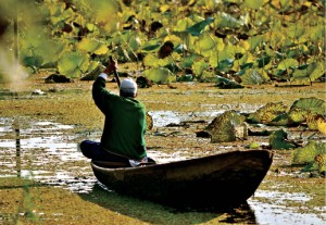 Picture perfect: Sawant Singh captured this shot of a shikara in Kashmir.