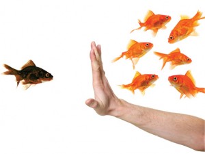 外国企业可能通过知识产权诉讼,将中国企业拒于市场之外。