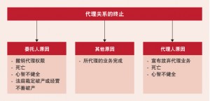 How agency relationships work under Contracts Law of Cyprus Chi