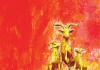 Year of Goat
