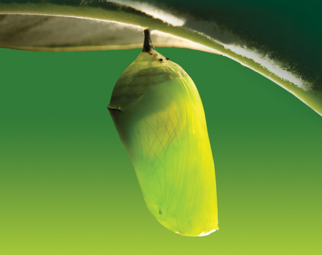 Post Header Image