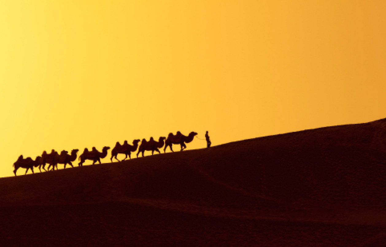 Post Header Image