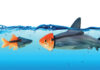 Misconception over foreign arbitral awards in Indonesia