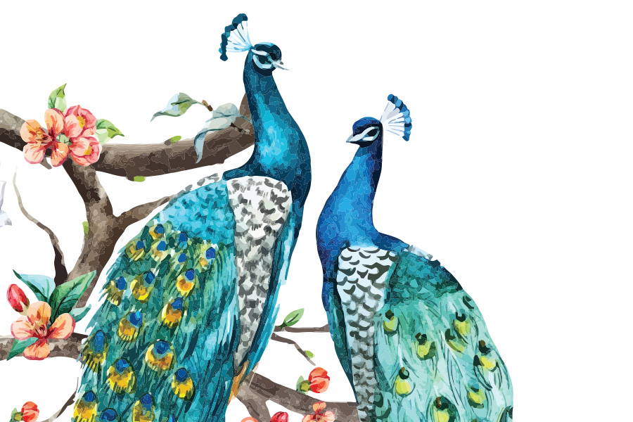 Post Header Image