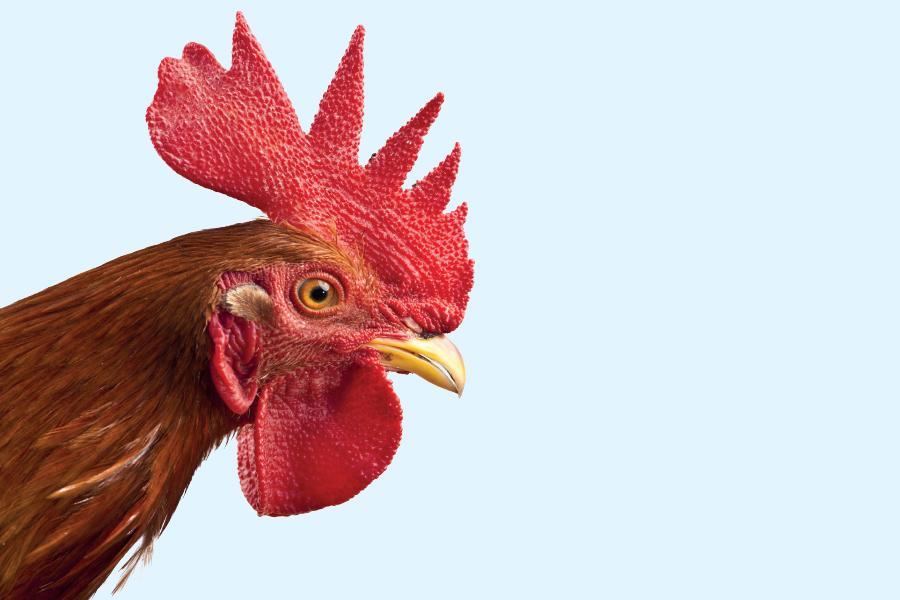 Post Header Image