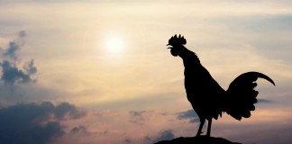 global economic and political uncertainties