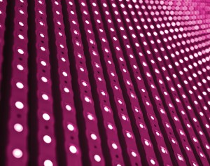 Pink_lights