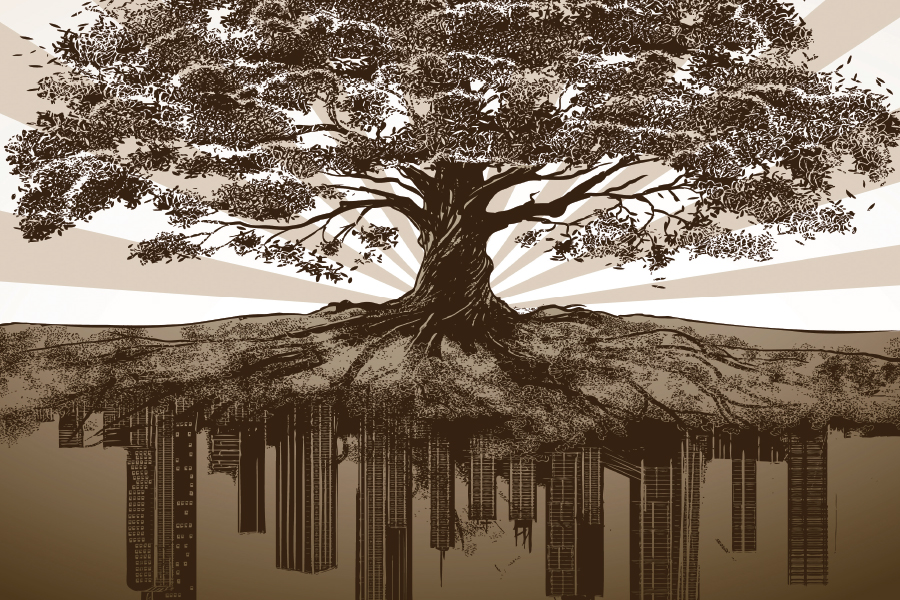 Post Header Image