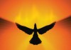 Rising from the flames A feature image of an article about Satyam financial performance and management issues