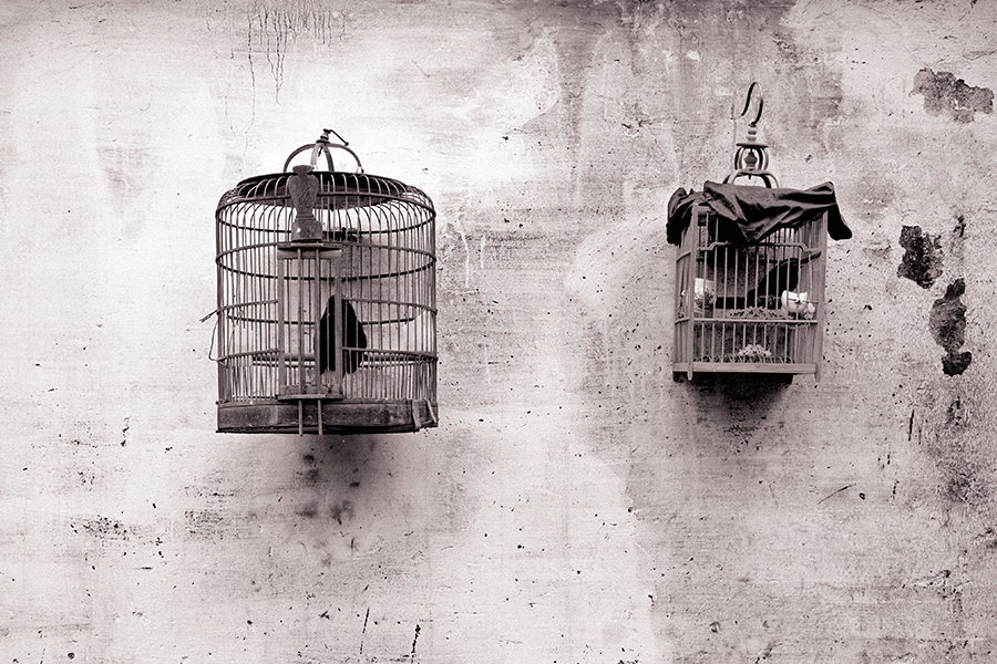 Post Header Image