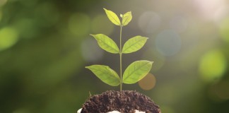 BanyanTree buys into Kanakadurga Finance
