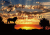 Chinese-investment-into-East-Africa