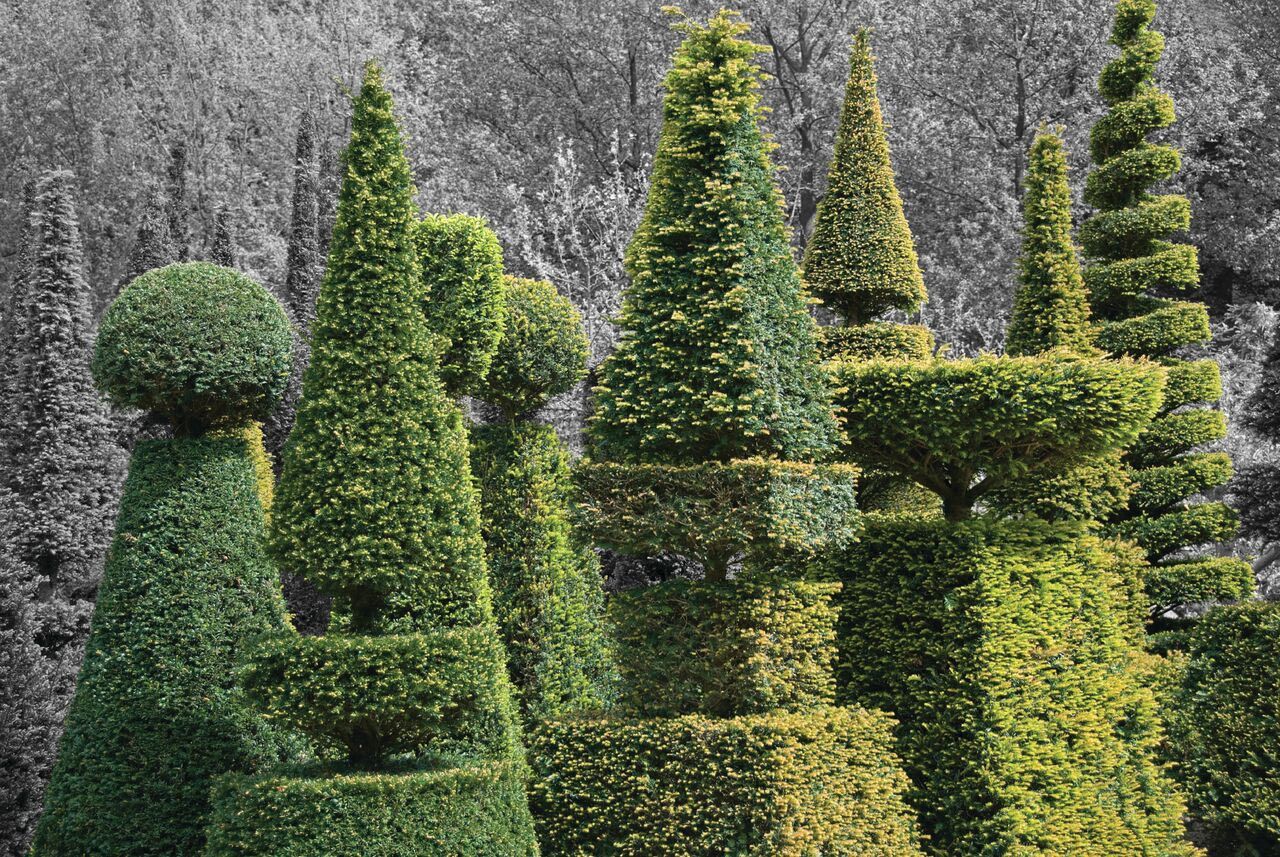 Post Header Image