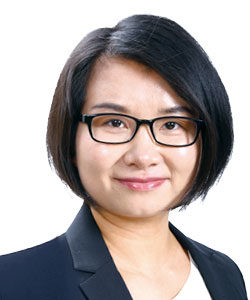Foreign Investment Law