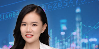 科创板股权 彭观萍大成律师事务所资深律师