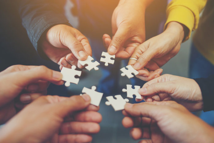 arbitration network global tender