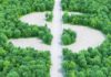Greenko issues Asia’s largest green bond this year Greenko