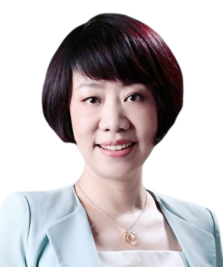 Li Jing DOCVIT Law Firm non-performing assets
