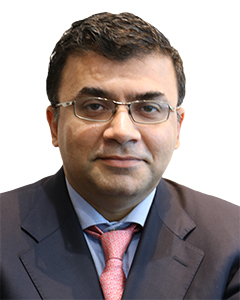 Ankit Majmudar, Quillon Partners
