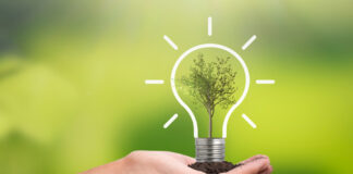taiwan energy law