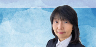 cover-image,-Trends-in-Japanese-FDI