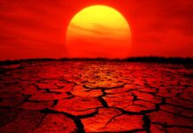 Do lawyers have an increased responsibility in averting a climate catastrophe? Vandana Chatlani reports