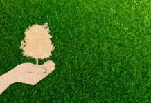 Growing a conscience