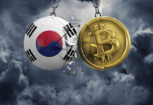 암호화폐 시장 피해 대책