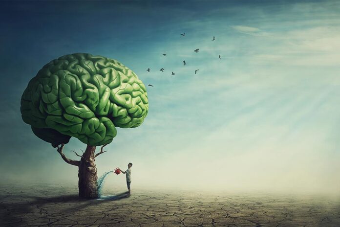 India health plans cover mental illness