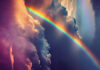 Rainbow judgment on IBC