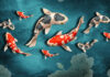 Taiwan’s solar-powered fishery project