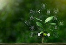 Grey Matter Green Impact Group initiative