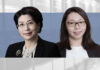 越南的可再生能源项目