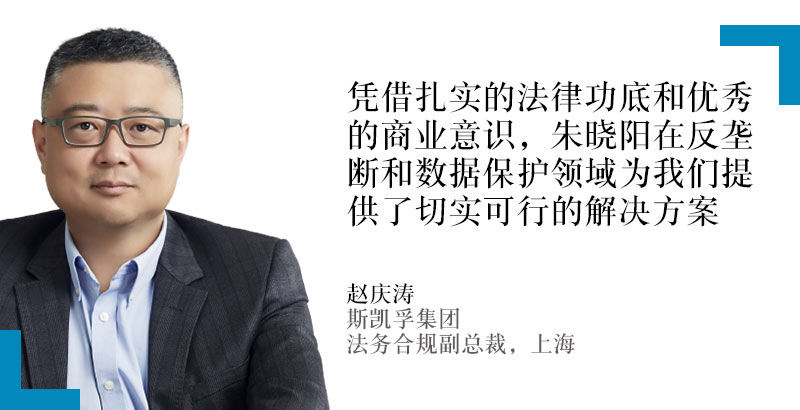 赵庆涛，斯凯孚集团