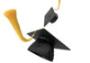 liberalisation of India's education sector