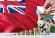 Privy Council clarifies proper purpose rule