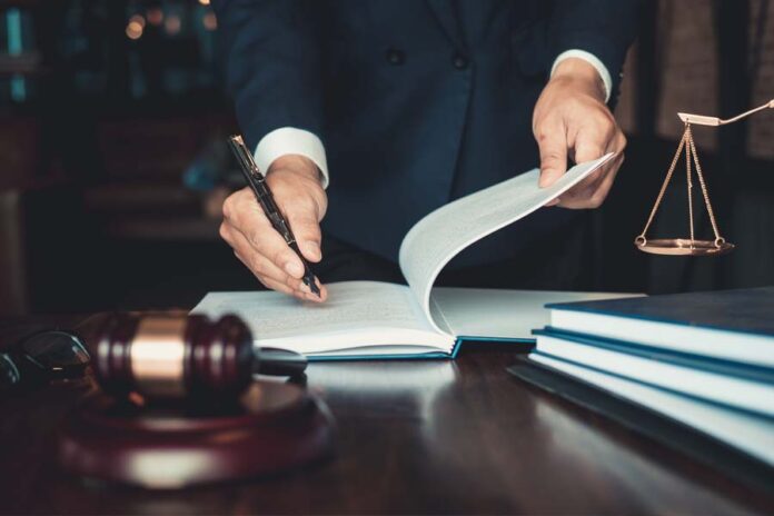 Supreme People’s Court first annual report