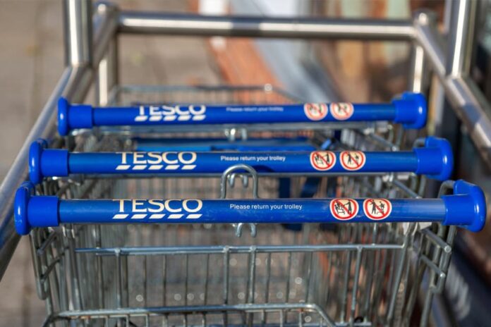 Tesco cash and-carry business India