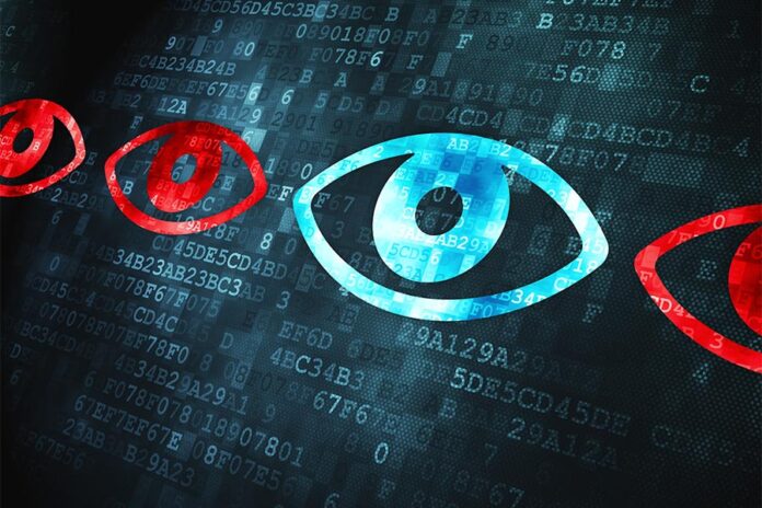 auditors to exercise vigilance