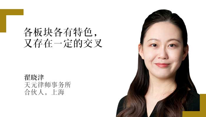 翟晓津，天元律师事务所