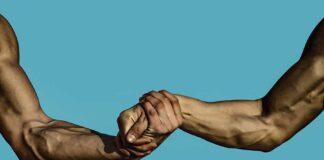 CLA joins hands with JSA to bolster services in India’s south-L