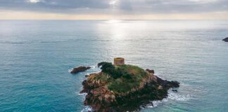 Jersey foundations and trusts