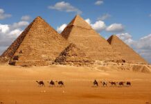 Four firms assist on Egypt issuing Africa’s first panda bond