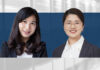 Investor directors risk prevention