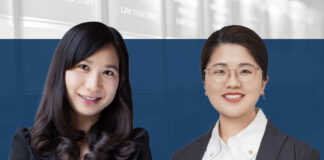 Investor directors risk prevention
