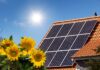 Carbon financial products' future
