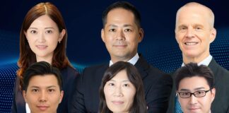 AI regulation for businesses in Japan